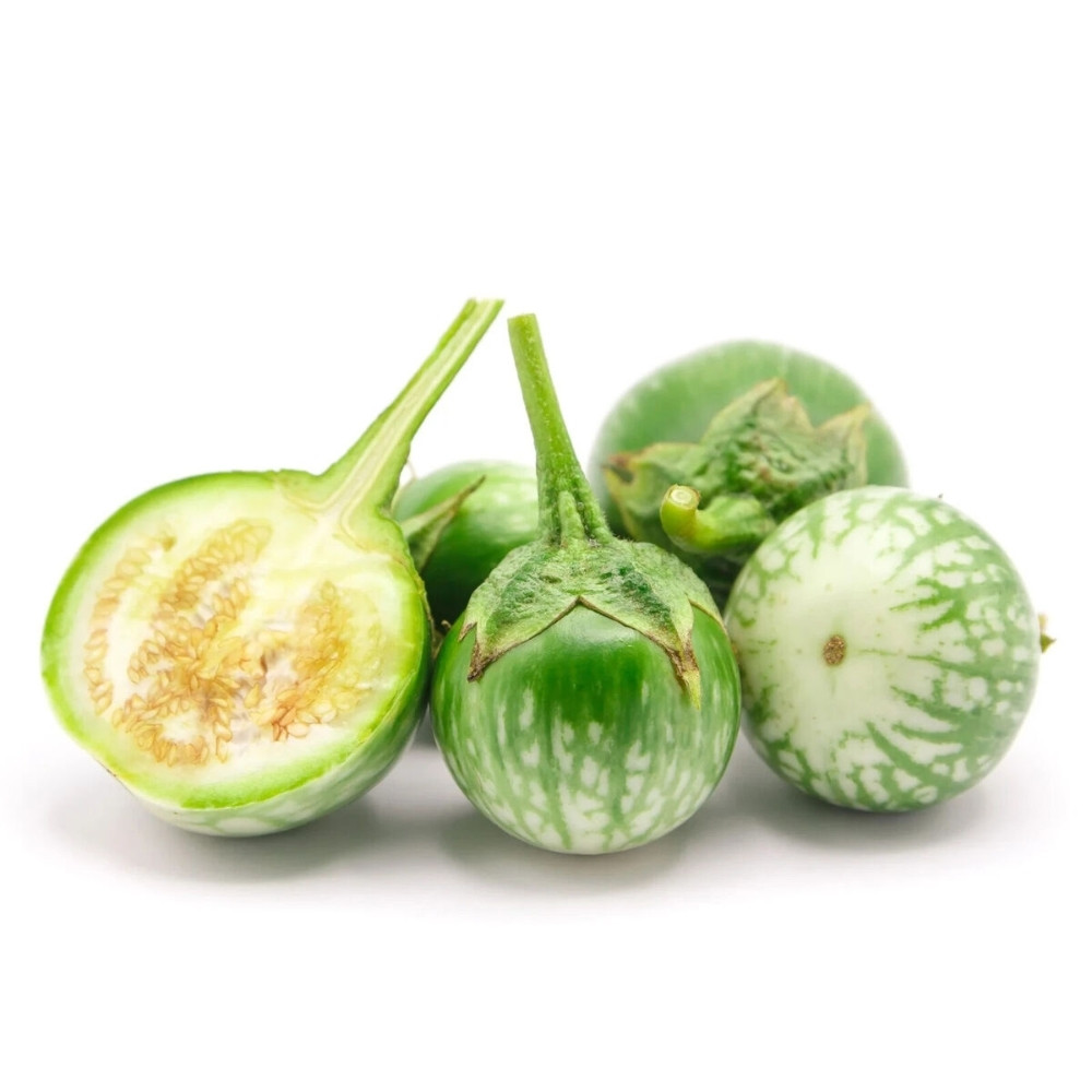 Thornless Eggplant seeds, Solanum Melongena - 20