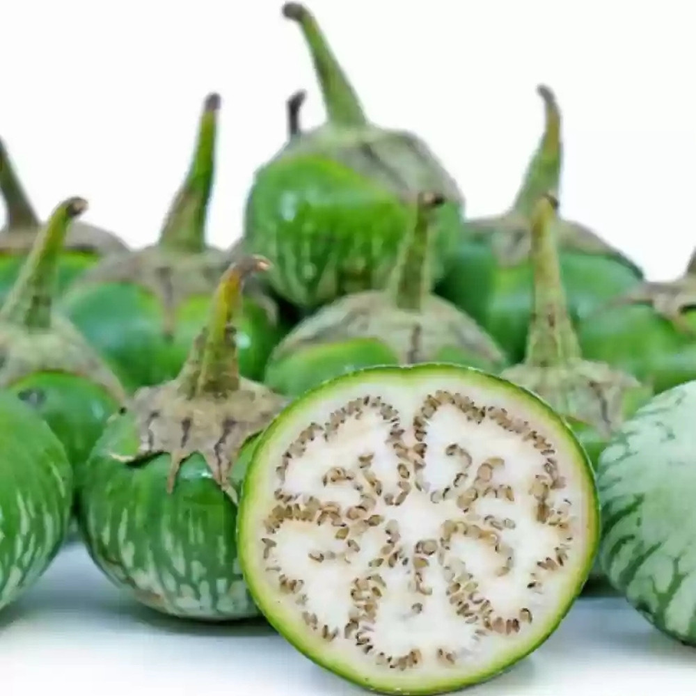 Thornless Eggplant seeds, Solanum Melongena - 20
