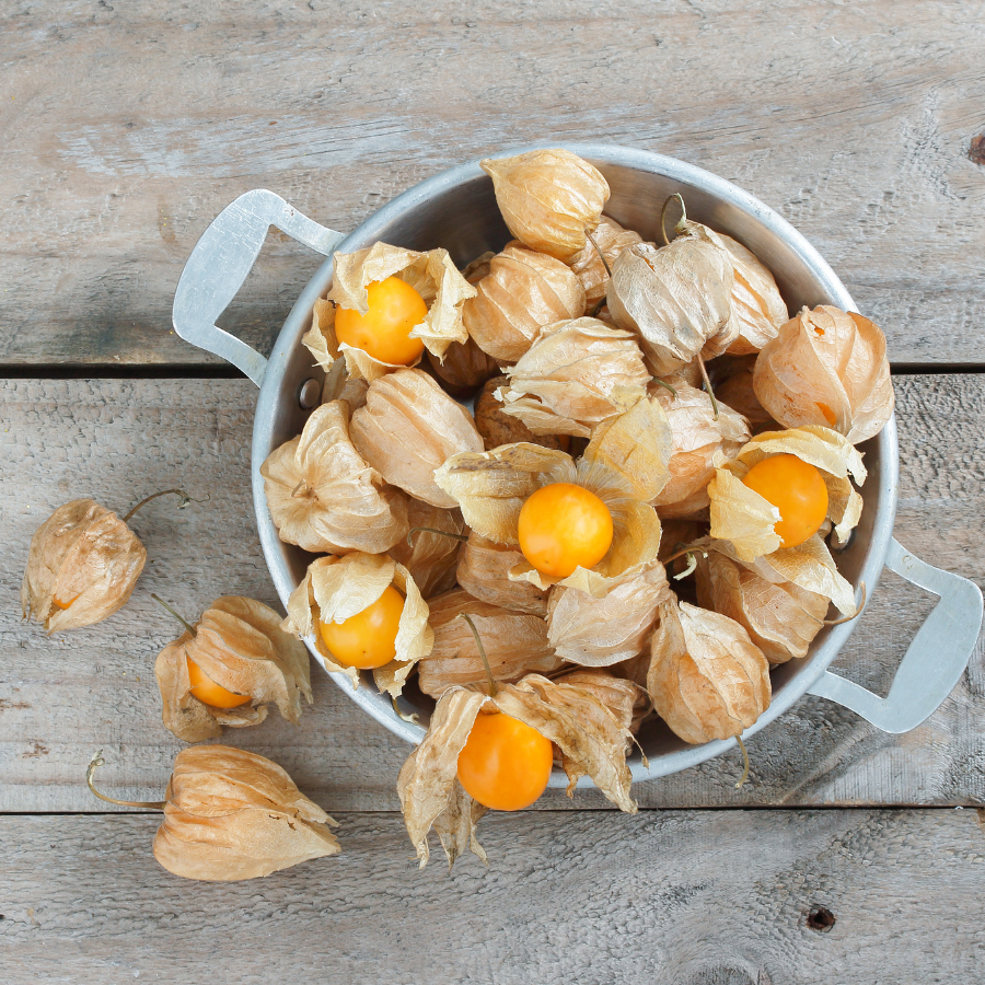 Physalis Sweet Yellow seeds, Physalis Peruviana - 30