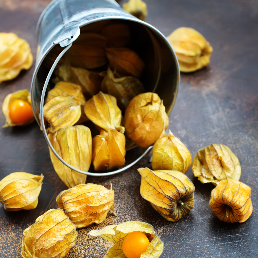 Physalis Sweet Yellow seeds, Physalis Peruviana - 30