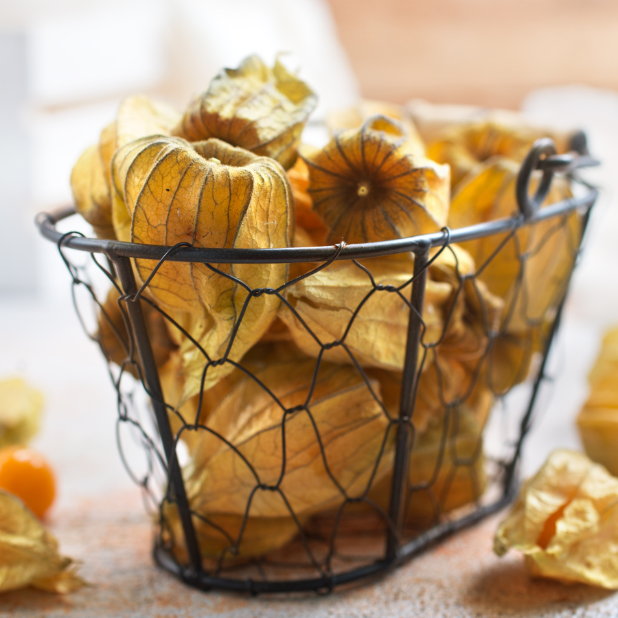 Physalis Sweet Yellow seeds, Physalis Peruviana - 30