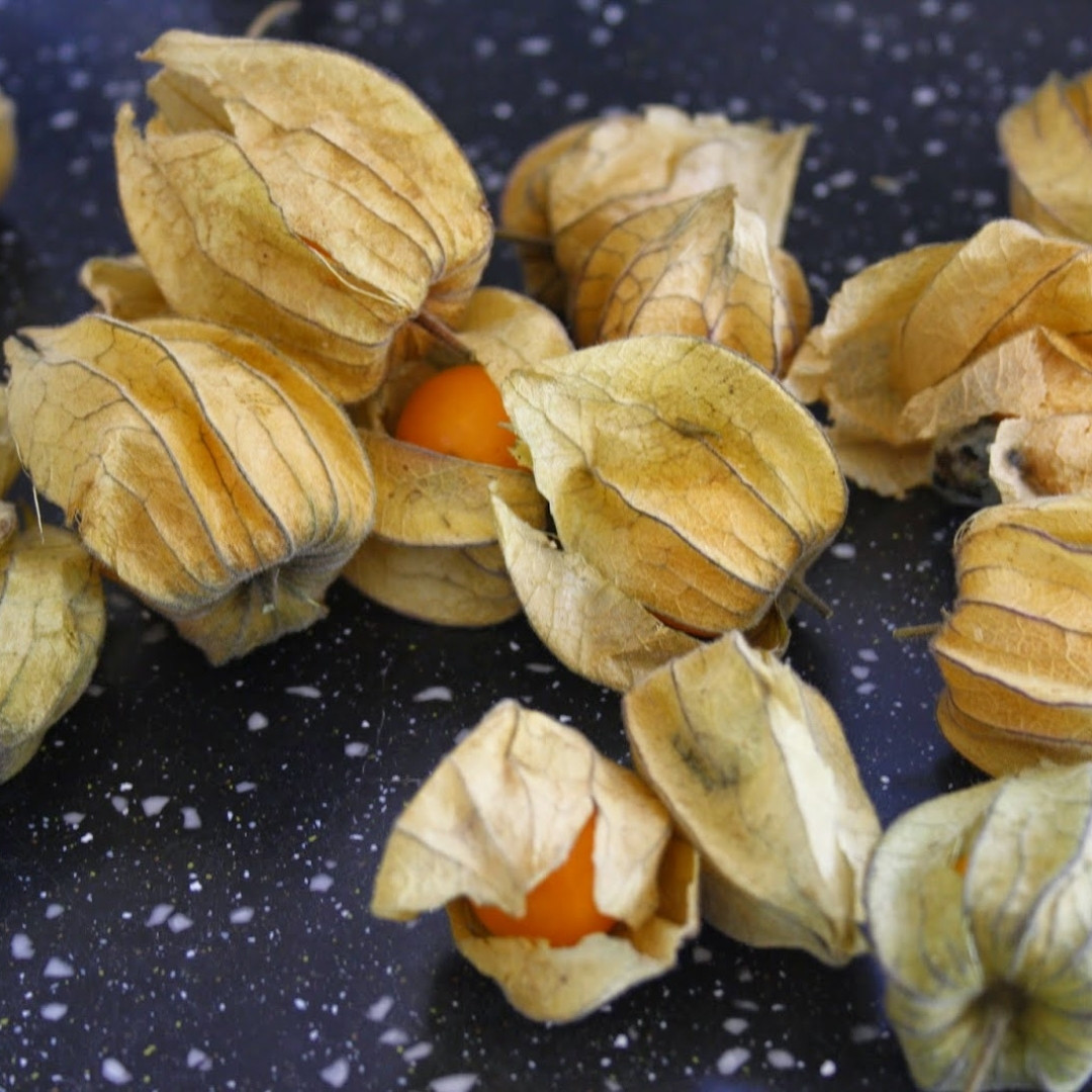 Physalis Yellow Sweet Seeds - 30
