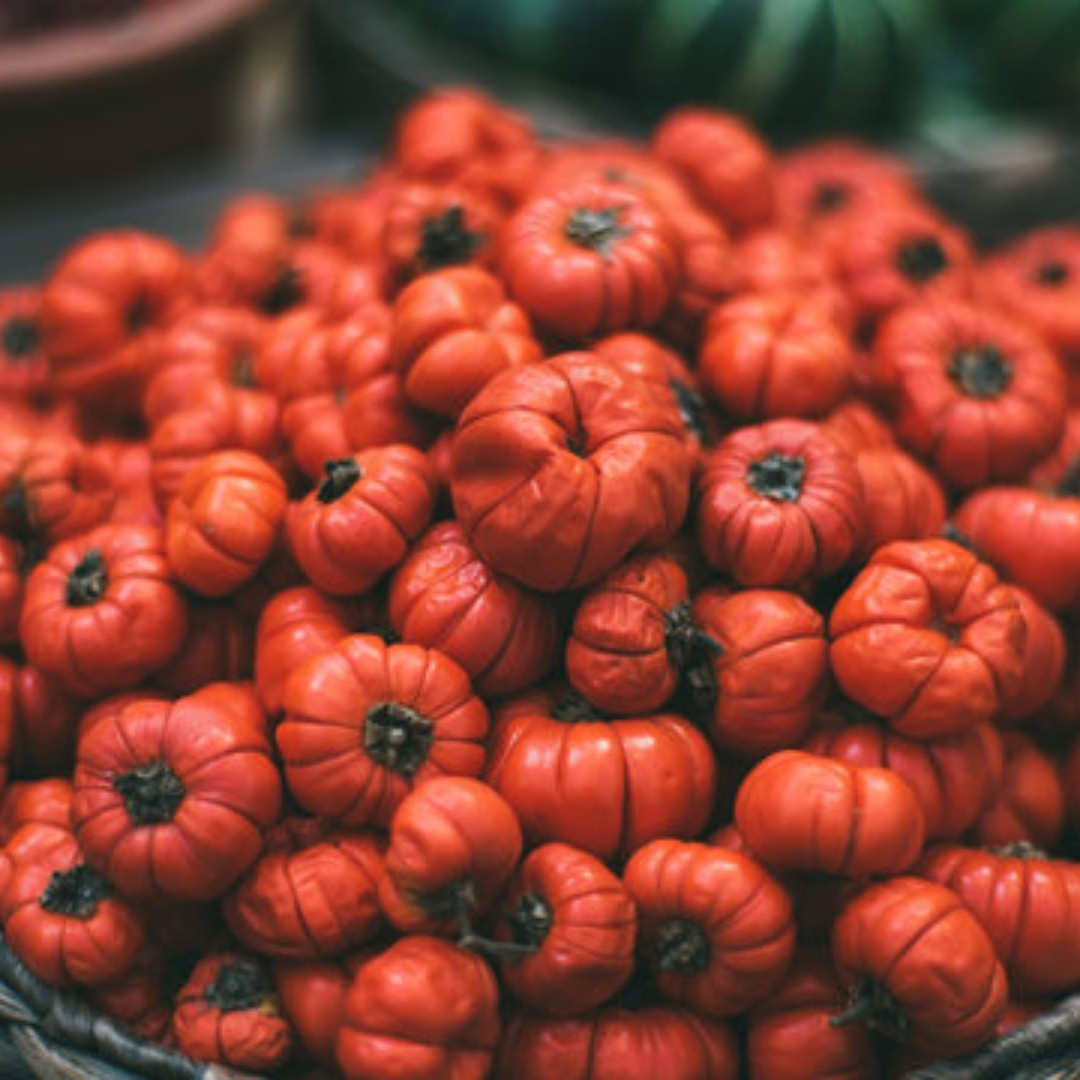 Ethiopian Red Ribbed Eggplant Seeds, Solanum Aethiopicum - 10