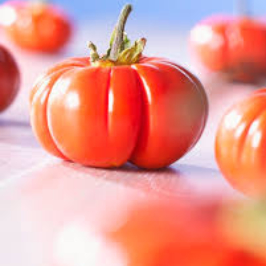 Ethiopian Red Ribbed Eggplant Seeds, Solanum Aethiopicum - 10