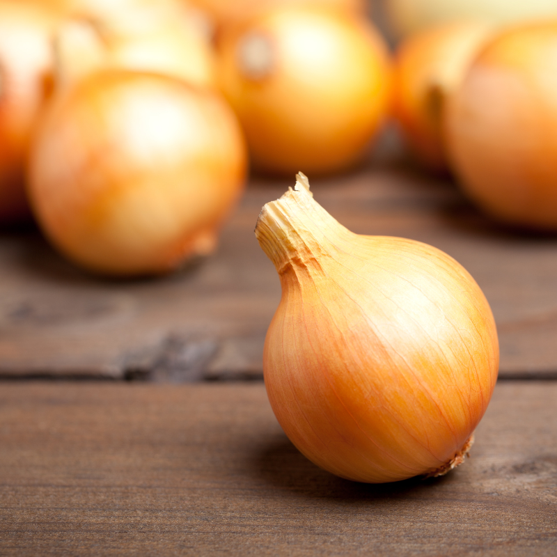 Black gold onion, Gouden Ui seeds - 30