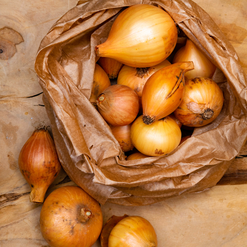 Black gold onion, Gouden Ui seeds - 30