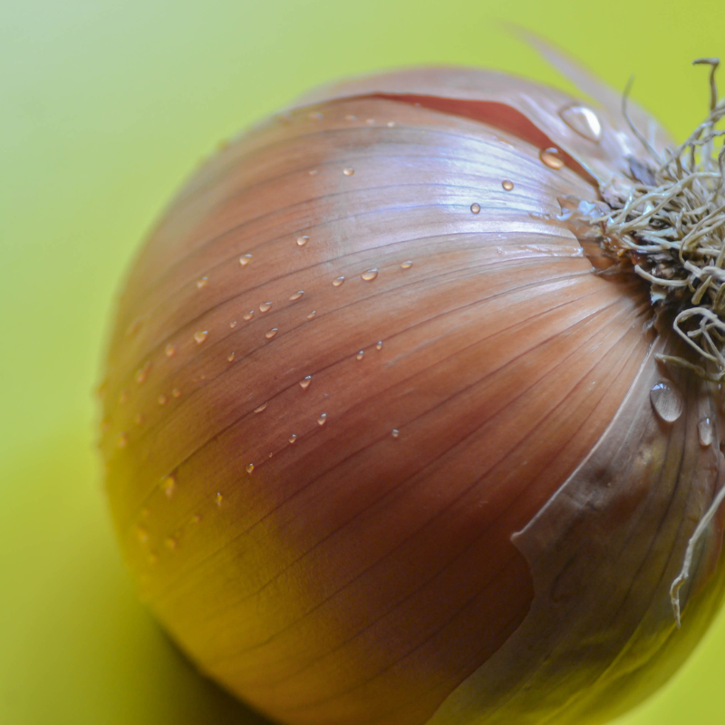 Black gold onion, Gouden Ui seeds - 30