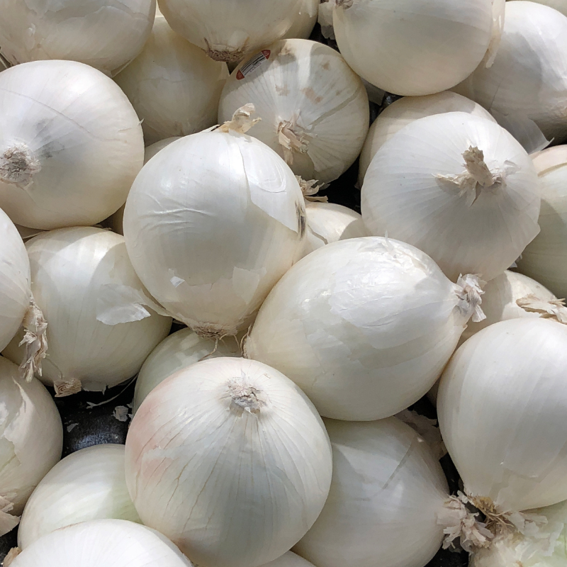 Onion white seeds - 30