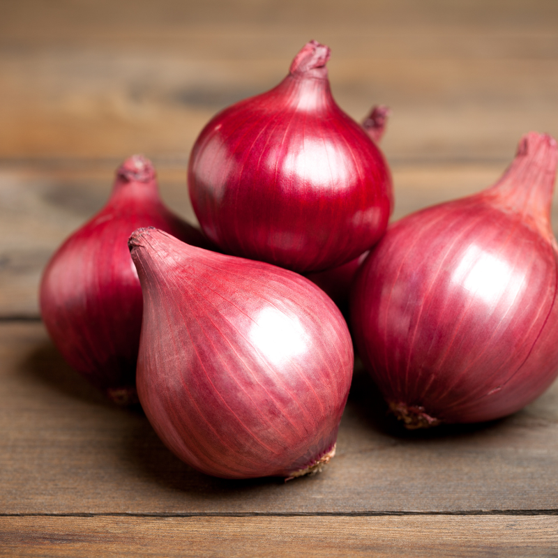 Onion selection red seeds - 30