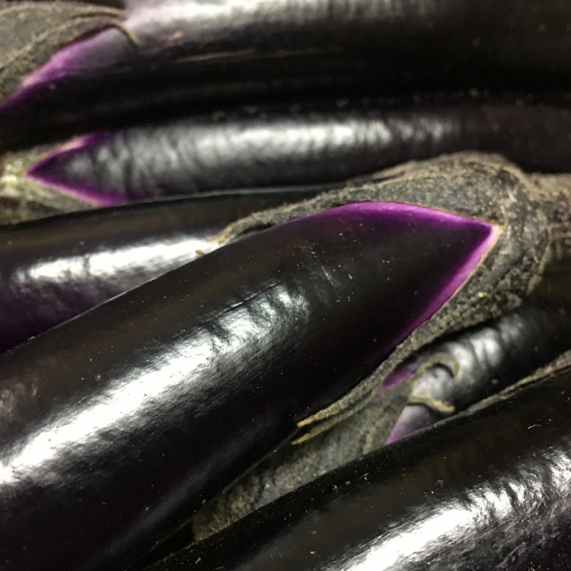 Eggplant siliguri long seeds - 30
