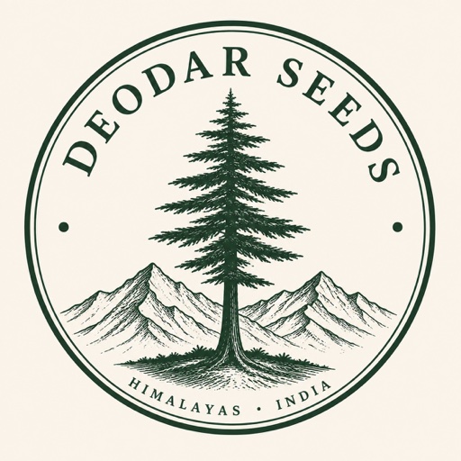 Deodar Seeds Deodar Seeds