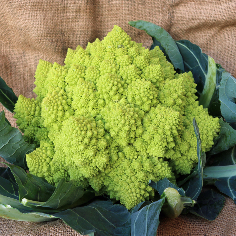 Romanesque cauliflower Seeds — 100