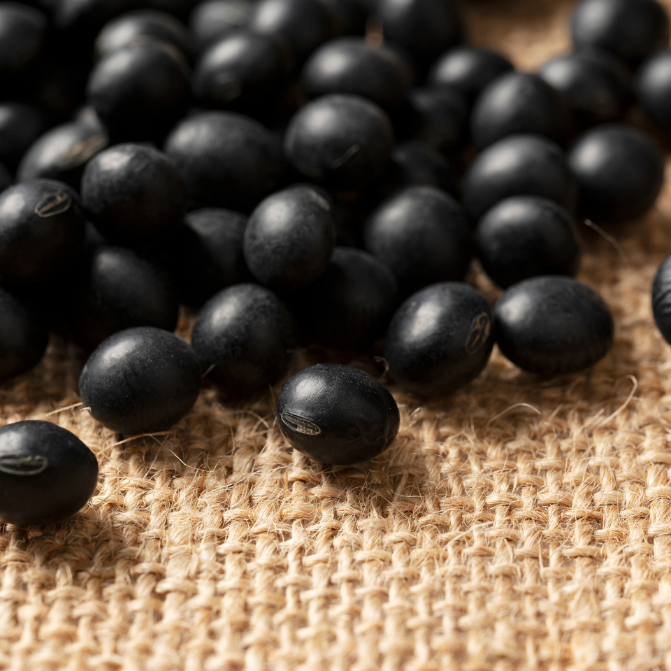 Black soya bean Kala Bhatt Seeds — 10