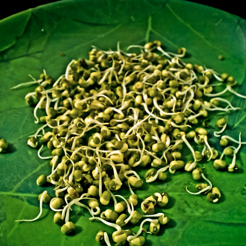 Green Moong Dal Seeds — 100