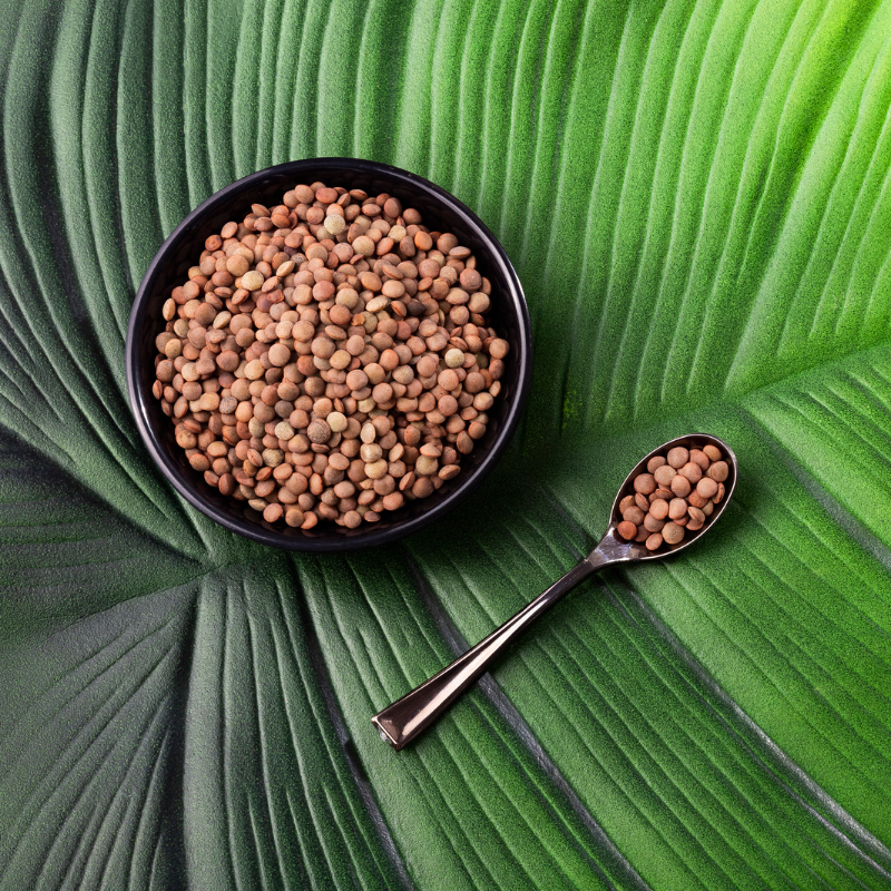 Brown Lentils Pardina, Masur dal Seeds — 100