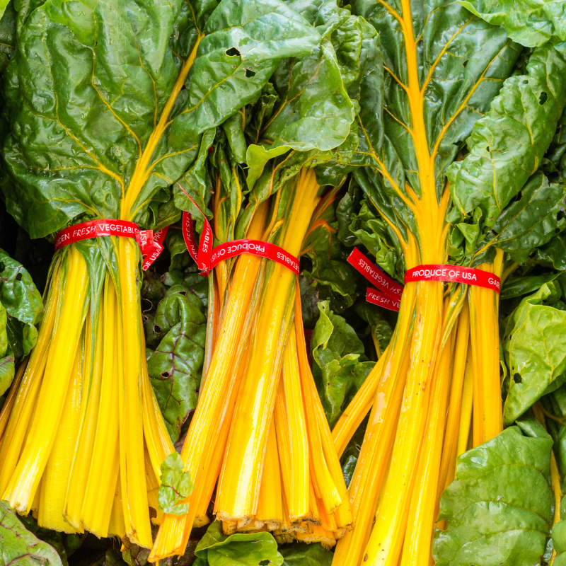 Yellow Swiss Chard, Mangold Seeds