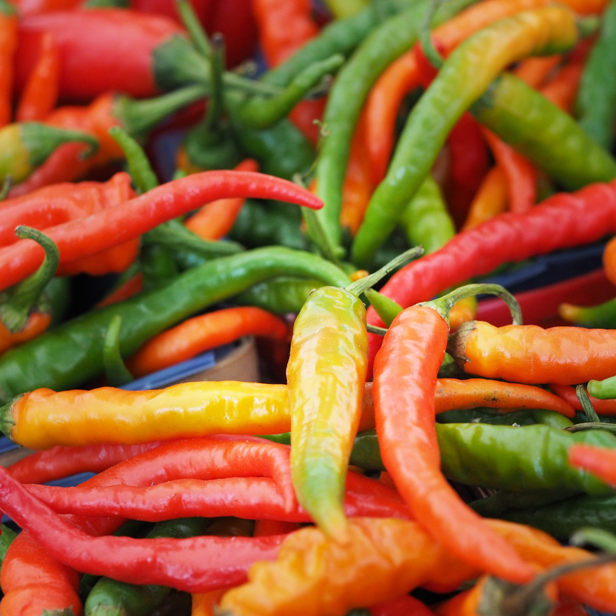 Hot pepper Tsitsak Seeds