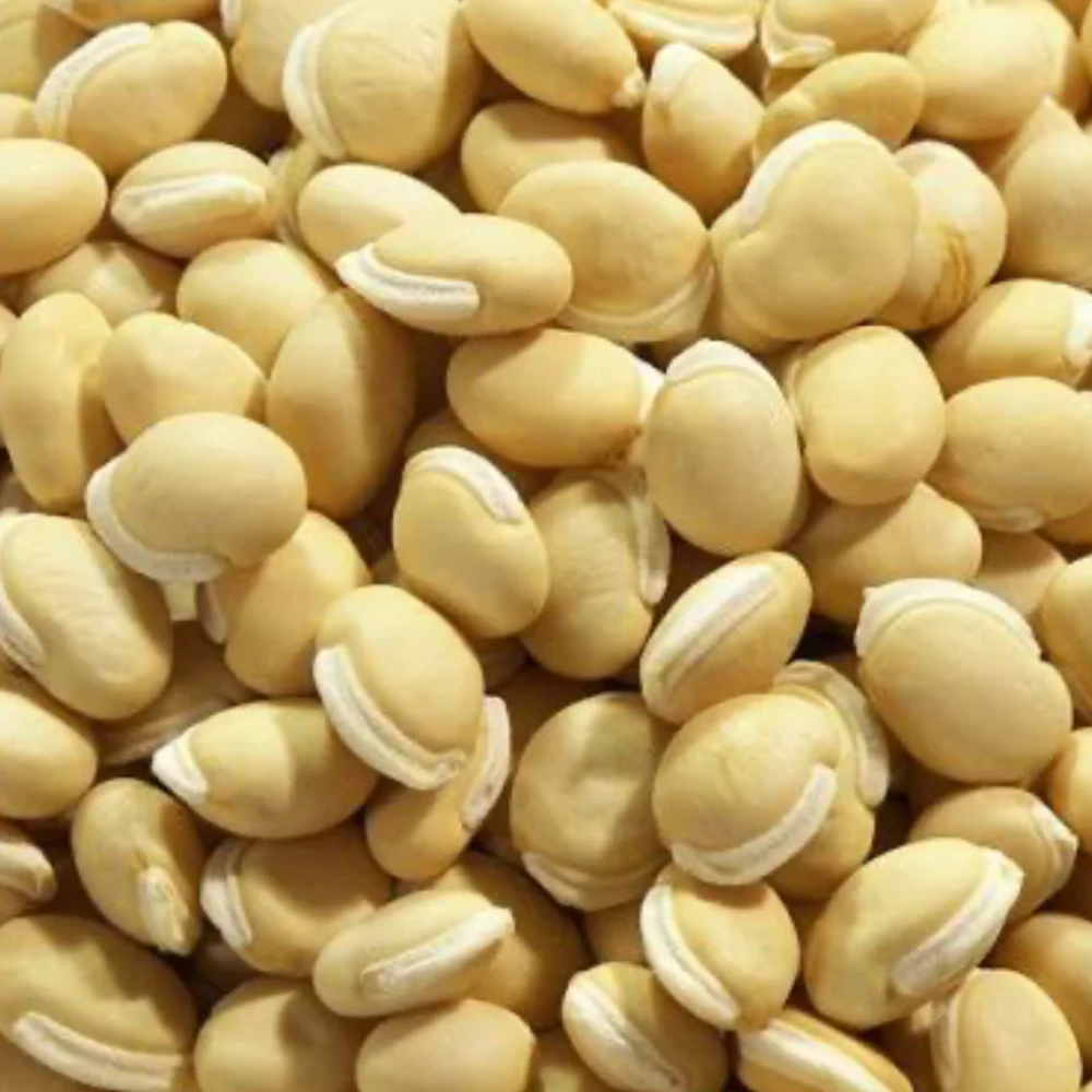 White desi vaal beans Seeds
