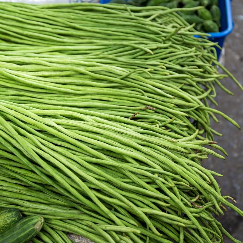 Yard long beans Laffa Seeds