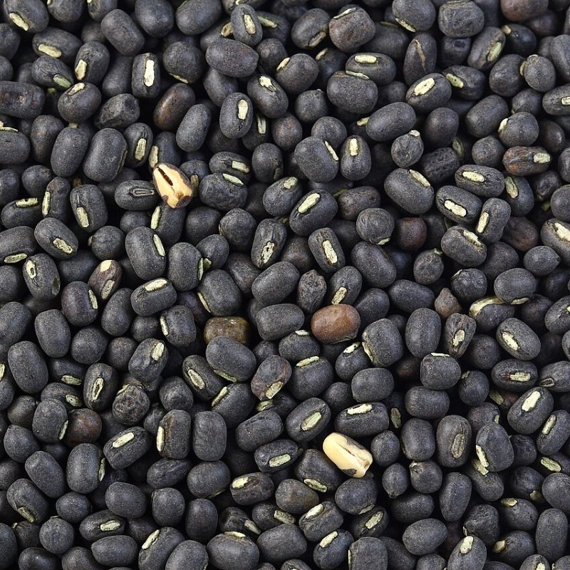 Black Kali moong dal Seeds