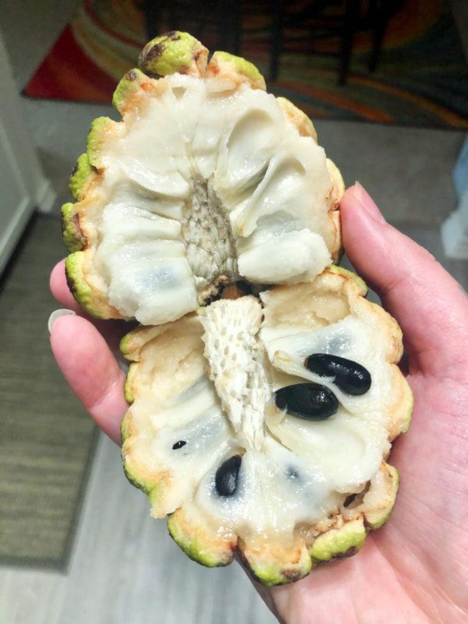 Sugar Apple Seeds (Annona squamosa)